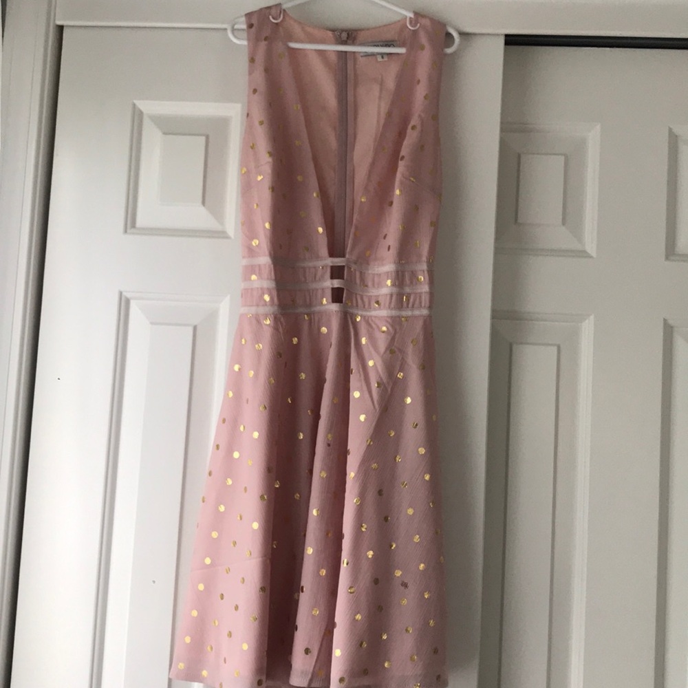 Light pink with gold polla dots Showpo dress.